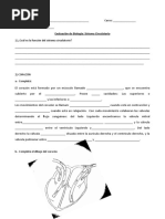 Evaluacion de Sistema Circulatorio