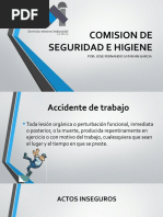 Comision de Seguridad e Higiene