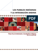 201166161329libro Indigenas