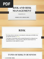 Risk and Risk Management