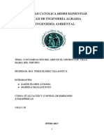 Informe Villa Maria