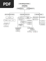 Organigrama Anchoveta