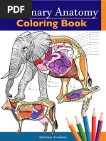 Veterinary Anatomy Coloring Book