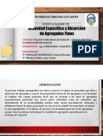 4 Diapositivas Ensayo de Gravedad Especifica y Absorcion de Agregados Finos