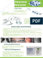 Histoplasma Capsulatum