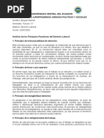 Principios Del Derecho Laboral