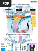 Organigrama y Mapa de Procesos