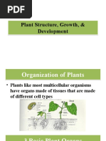 Plant Structure, Growth, & Development Plant Structure, Growth, & Development