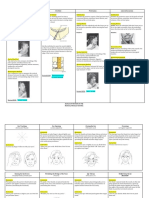 Screenshot - TMJ and Head Complex