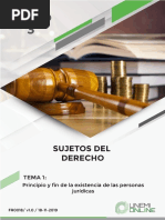 Compendio Unido Sujetos Del Derecho