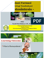 Fotosintesis