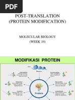 10 Protein Modification