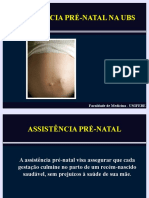 Assistência Pre Natal UBS