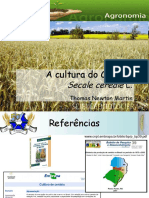 Centeio - Triticale - Aula 5