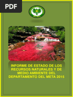 Informe de Estado de Los Recursos Naturales y Medio Ambiente Departamento Del Meta Vigencia 2015-1