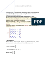 Algebra y Programación Lineal. Teoria Sobre Matrices