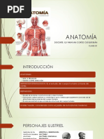 Anatomía Clase O1