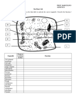 PDF16.the Plant Cell