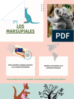 Marsupiales Juan