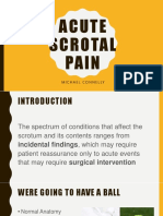 Acute Scrotum