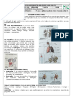 Aula Remota 8 - 8º