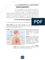 Copia de Sist - Respirat