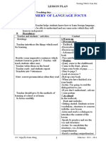 Summery of Language Focus: Lesson Plan