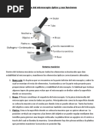 Partes Del Microscopio Óptico y Sus Funciones