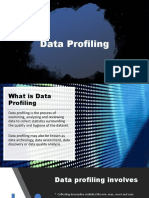 Data Profiling