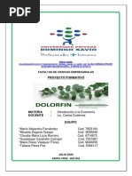 Proyecto Final - Empresa Dolorfin