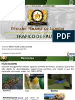 Fauna Silvestre Trafico