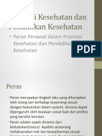 Peran Perawat Dalam Promosi Kesehatan Dan Pendidikan Kesehatan