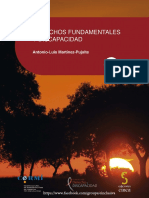 Derechos Fundamentales y Discapacidad