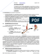 Generalidades Sistema Muscular