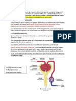 Filtracion Renal