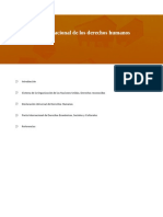 01 Protección Internacional de Los Derechos Humanos