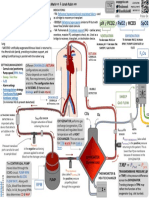 ICU One Pager ECMO Fundamentals