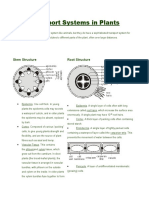 Transport Systems in Plants: Stem Structure Root Structure
