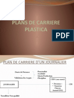 Plan de Carriere Plastica