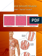 Cardiac and Smooth Muscles