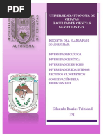 Ensayo Sobre Biodiversidad