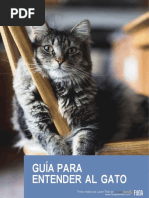 Guia para Entender Al Gato