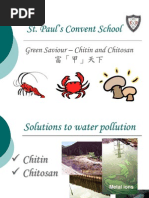 Green Saviour - Chitin and Chitosan