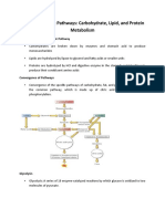 I. Specific Catabolic Pathways