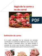 Microbiologia de Carne y Aves