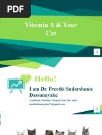 Vitamin A - Cats