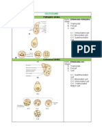 Activity Tabulation Parasitology