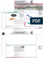 Planificación Semanal (05) Del Primer Parcial Del Segundo Quimestre 01 Al 05 de Marzo Del 2021 6to B