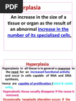 4-Hyperplasia Part 2-1