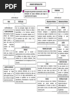 Mapa Conceptual Arte y Patrimoni